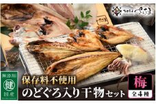 添加物不使用！国産 のどぐろ 入り 干物 4種 セット〈梅〉【ひもの ヒモノ さかな おかず グルメ 小分け 冷凍 個包装 惣菜 魚介類 海鮮 焼魚 簡単調理 朝食 お弁当 無添加 ノドグロ 贈答 おかず 惣菜 冷凍食品】 [e04-a102]