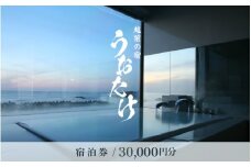 宿泊券 越前の宿 うおたけ（ 30,000円分 ）【温泉 旅行 利用券 宿泊 温泉宿 2年間有効期限】 [e65-j001]