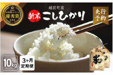 【新米・先行予約】定期便≪3ヶ月連続お届け≫ お米 こしひかり 10kg × 3回（計 30kg）（精米）令和7年 福井県産 炊きたての美味しさを追求したお米【米 コメ kome 10キロ 3回 計30キロ 精米 白米 5キロ 6袋 5kg 人気品種 便利 】【2025年10月下旬以降順次発送開始！】 [e47-j005]