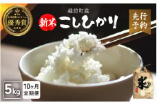 【新米・先行予約】定期便≪10ヶ月連続お届け≫ お米 こしひかり 5kg × 10回（計 50kg）（精米）令和7年 福井県産 炊きたての美味しさを追求したお米【米 コメ kome 5キロ 10回 計50キロ 精米 白米 人気品種 便利 】【2025年10月下旬以降順次発送開始！】 [e47-m002]