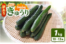 【訳あり】数量・期間限定 太陽の光をサンサンと浴びた「SunSun きゅうり」 1kg以上 農場より 産地直送 露地栽培 送料無料 サラダ 漬物 野菜 やさい 旬 新鮮 サラダ キュウリ 胡瓜 [e35-a028]
