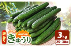 【訳あり】数量・期間限定 太陽の光をサンサンと浴びた「SunSun きゅうり」 3kg以上 農場より 産地直送 露地栽培 送料無料 サラダ 漬物 野菜 やさい 旬 新鮮 サラダ キュウリ 胡瓜 [e35-a030]