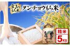 【先行予約】令和7年産 新米 幻のもち米 タンチョウもち米 5kg（精米） 【2025年10月下旬より順次発送】 【お米 米 こめ コメ kome  福井県産 モチ たんちょう おこわ 餅 おもち 常温 年末 赤飯 餅つき】 [e35-a041]