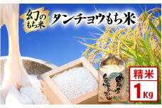 【先行予約】令和7年産 新米 お試し 幻のもち米 タンチョウもち米 1kg（精米） 【2025年10月下旬より順次発送】 【お米 米 こめ コメ kome 福井県産 モチ たんちょう おこわ 餅 おもち 5000円 常温 年末 赤飯 餅つき】 [e35-a039]