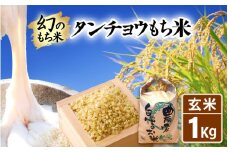 【先行予約】令和7年産 新米 お試し 幻のもち米 タンチョウ もち米 1kg（玄米） 【2025年10月下旬より順次発送】 【お米 米 こめ コメ kome 福井県産 モチ たんちょう おこわ 餅 おもち 5000円 常温 年末 赤飯 餅つき 】 [e35-a036]