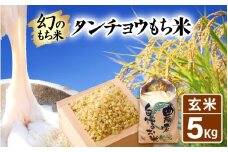 【先行予約】令和7年産 新米 幻のもち米 タンチョウもち米 5kg（玄米） 【2025年10月下旬より順次発送】 【お米 米 こめ コメ kome 福井県産 モチ たんちょう おこわ 餅 おもち 常温 年末 赤飯 餅つき】 [e35-a038]