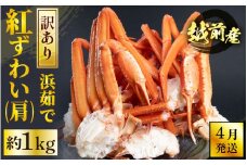  [冷蔵便] 【訳あり】≪浜茹で≫越前産 紅ずわいがに 肩 約 1kg【紅ズワイガニ ボイル 蟹 かに カニ 福井県】【4月発送】 [e22-x010_04]