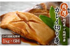 定期便 ≪6ヶ月連続お届け≫ 使い勝手抜群！福井県網元漁師が厳選 肉厚な越前産カレイの切り身（無塩）1kg × 6回 計6kg 【 たっぷり 焼き魚 煮付け バラ凍結便利 】 [e15-b012]