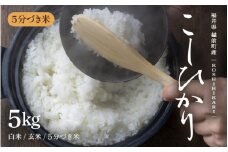 【先行予約】【令和7年産 新米】旨いご飯！お米 こしひかり 5kg 「5分づき米」 福井県産【2025年10月中旬より順次発送】 【米 コシヒカリ 人気品種 ブランド米 5キロ 精米 白米 玄米  5ぶづき米 おにぎり うまい ぶつき米 】 [e71-a005_02]