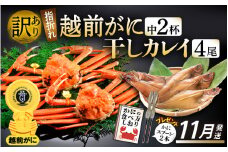 「訳あり 指折れ 越前がに（中）2杯」+ 「干しカレイ 4尾」 食べ方しおり かにスプーン付き【雄 ズワイガニ ずわいがに 越前ガニ 姿 ボイル 冷蔵 福井県】【11月発送分】希望日指定可 備考欄に希望日をご記入ください [e15-x006_11]