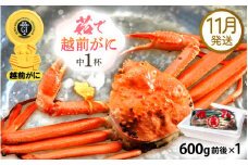 越前がに本場の越前町からお届け！ 越前がに 浜茹で 中サイズ（生で600g前後） × 1杯 かにの食べ方しおり かにスプーン付き【かに カニ 蟹】【福井県 越前町 雄 ズワイガニ ボイル 冷蔵 越前ガニ 越前かに 越前カニ ずわいがに ずわい蟹 かに カニ 蟹】【11月発送分】希望日指定可 備考欄に希望日をご記入ください [e15-x008_11]