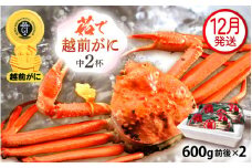 越前がに本場の越前町からお届け！ 越前がに 浜茹で 中サイズ（生で600g前後） × 2杯 かにの食べ方しおり かにスプーン付き【かに カニ 蟹】【福井県 越前町 雄 ズワイガニ ボイル 冷蔵 越前ガニ 越前かに 越前カニ ずわいがに ずわい蟹 かに カニ 蟹】【12月発送分】希望日指定可 備考欄に希望日をご記入ください [e15-x009_12]