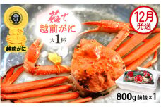 越前がに本場の越前町からお届け！ 越前がに 浜茹で 大サイズ（生で800g前後） × 1杯 かにの食べ方しおり かにスプーン付き【かに カニ 蟹】【福井県 越前町 雄 ズワイガニ ボイル 冷蔵 越前ガニ 越前かに 越前カニ ずわいがに ずわい蟹 かに カニ 蟹】【12月発送分】希望日指定可 備考欄に希望日をご記入ください [e15-x010_12]