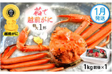 越前がに本場の越前町からお届け！ 越前がに 浜茹で 特大サイズ（生で1kg前後） × 1杯 かにの食べ方しおり かにスプーン付き【かに カニ 蟹】【福井県 越前町 雄 ズワイガニ ボイル 冷蔵 越前ガニ 越前かに 越前カニ ずわいがに ずわい蟹 かに カニ 蟹】【1月発送分】希望日指定可 備考欄に希望日をご記入ください [e15-x012_01]