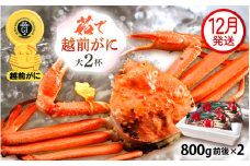 越前がに本場の越前町からお届け！ 越前がに 浜茹で 大サイズ（生で800g前後） × 2杯 かにの食べ方しおり かにスプーン付き【かに カニ 蟹】【福井県 越前町 雄 ズワイガニ ボイル 冷蔵 越前ガニ 越前かに 越前カニ ずわいがに ずわい蟹 かに カニ 蟹】【12月発送分】希望日指定可 備考欄に希望日をご記入ください [e15-x011_12]