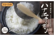 【先行予約】【令和7年産 新米】定期便 ≪3ヶ月連続お届け≫旨いご飯！お米 ハナエチゼン 5kg × 3回 計15kg 「5分づき米」 福井県産【米 はなえちぜん 華越前 人気品種 ブランド米 5キロ 精米 白米 玄米  5ぶづき米 おにぎり うまい ぶつき米 】【2025年9月中旬より順次発送】 [e71-c002_02]