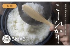 【先行予約】【令和7年産 新米】定期便 ≪3ヶ月連続お届け≫ 旨いご飯！お米 こしひかり 5kg × 3回 計15kg 「玄米」 福井県産【2025年10月中旬より順次発送】【米 コシヒカリ 人気品種 ブランド米  5キロ 精米 白米 玄米  5ぶづき米 おにぎり うまい】 [e71-c001_03]