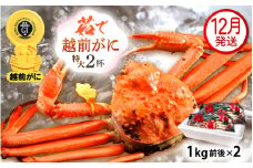 越前がに本場の越前町からお届け！ 越前がに 浜茹で 特大サイズ（生で1kg前後） × 2杯 かにの食べ方しおり かにスプーン付き【かに カニ 蟹】【福井県 越前町 雄 ズワイガニ ボイル 冷蔵 越前ガニ 越前かに 越前カニ ずわいがに ずわい蟹 かに カニ 蟹】【12月発送分】希望日指定可 備考欄に希望日をご記入ください [e15-x013_12]