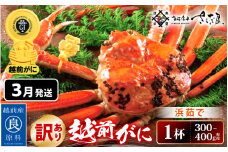 【訳あり】≪浜茹で≫ 越前がに 約300～400g × 1杯（茹で前重量）食べ方しおり付き【雄 ズワイガニ ずわいがに かに カニ 蟹 姿 ボイル 福井県】【3月発送】希望日指定可 備考欄に希望日をご記入ください [e04-x020_03]