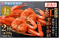 【訳あり】≪浜茹で≫越前産 紅ずわいがに 約700g × 2杯 食べ方しおり付【紅ズワイガニ カニ かに 蟹 姿 ボイル 冷蔵 福井県】【4月発送分】希望日指定不可 [e14-x025_04] 