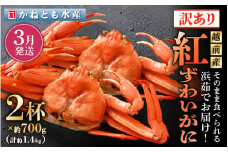 【訳あり】≪浜茹で≫越前産 紅ずわいがに 約700g × 2杯 食べ方しおり付【紅ズワイガニ カニ かに 蟹 姿 ボイル 冷蔵 福井県】【3月発送分】 [e14-x025_03] 