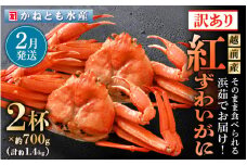 【訳あり】≪浜茹で≫越前産 紅ずわいがに 約700g × 2杯 食べ方しおり付【紅ズワイガニ カニ かに 蟹 姿 ボイル 冷蔵 福井県】【2月発送分】 [e14-x025_02]