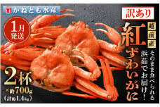【訳あり】≪浜茹で≫越前産 紅ずわいがに 約700g × 2杯 食べ方しおり付【紅ズワイガニ カニ かに 蟹 姿 ボイル 冷蔵 福井県】【1月発送分】 [e14-x025_01] 