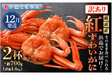 【訳あり】≪浜茹で≫越前産 紅ずわいがに 約700g × 2杯 食べ方しおり付【紅ズワイガニ カニ かに 蟹 姿 ボイル 冷蔵 福井県】【12月発送分】 [e14-x025_12]