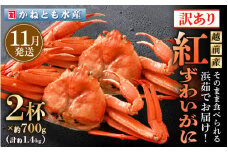 【訳あり】≪浜茹で≫越前産 紅ずわいがに 約700g × 2杯 食べ方しおり付【紅ズワイガニ カニ かに 蟹 姿 ボイル 冷蔵 福井県】【11月発送分】 [e14-x025_11]