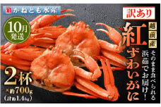 【訳あり】≪浜茹で≫越前産 紅ずわいがに 約700g × 2杯 食べ方しおり付【紅ズワイガニ カニ かに 蟹 姿 ボイル 冷蔵 福井県】【10月発送分】 [e14-x025_10]