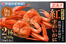 【訳あり】≪浜茹で≫越前産 紅ずわいがに 約700g × 2杯 食べ方しおり付【紅ズワイガニ カニ かに 蟹 姿 ボイル 冷蔵 福井県】【9月発送分】 [e14-x025_09] 