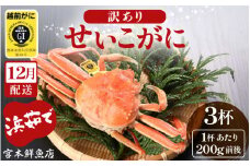 【訳あり】≪浜茹で≫越前産 せいこがに（生で200g前後） × 3杯【雌 ズワイガニ 越前ガニ 姿 ボイル 冷蔵 かに カニ 蟹 福井県】【12月発送分】希望日指定可 備考欄に希望日をご記入ください [e43-x012_12]