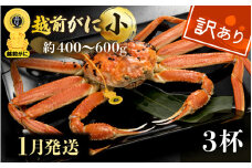 【訳あり】越前がに本場の越前町からお届け！≪浜茹で≫越前がに 小サイズ（生で約400～600g） × 3杯【雄 ズワイガニ 越前ガニ 姿 ボイル 冷蔵 かに カニ 蟹 福井県】【1月発送分】希望日指定可 備考欄に希望日をご記入ください [e49-x007_01]