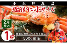 越前がに本場の越前町からお届け！ ≪浜茹で≫越前がに 小サイズ × 1杯（500g前後）【かに カニ 蟹】地元で喜ばれるゆで加減・塩加減で越前の港から直送！【福井県 越前町 雄 ズワイガニ ボイル 冷蔵 越前ガニ 越前かに 越前カニ ずわいがに ずわい蟹 かに カニ 蟹】【2月発送分】希望日指定可 備考欄に希望日をご記入ください [e23-x015_02]