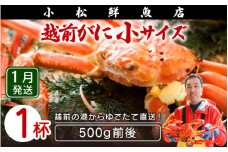 越前がに本場の越前町からお届け！ ≪浜茹で≫越前がに 小サイズ × 1杯（500g前後）【かに カニ 蟹】地元で喜ばれるゆで加減・塩加減で越前の港から直送！【福井県 越前町 雄 ズワイガニ ボイル 冷蔵 越前ガニ 越前かに 越前カニ ずわいがに ずわい蟹 かに カニ 蟹】【1月発送分】希望日指定可 備考欄に希望日をご記入ください [e23-x015_01]