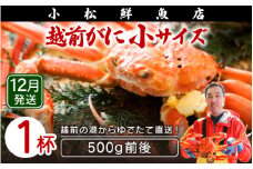 越前がに本場の越前町からお届け！ ≪浜茹で≫越前がに 小サイズ × 1杯（500g前後）【かに カニ 蟹】地元で喜ばれるゆで加減・塩加減で越前の港から直送！【福井県 越前町 雄 ズワイガニ ボイル 冷蔵 越前ガニ 越前かに 越前カニ ずわいがに ずわい蟹 かに カニ 蟹】【12月発送分】希望日指定可 備考欄に希望日をご記入ください [e23-x015_12]
