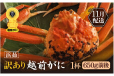 【訳あり】≪浜茹で≫越前がに 1杯（生で1杯650g前後）大人約2人前 食べ応え充分【規格外 雄 ズワイガニ かに カニ 蟹 越前ガニ 姿 ボイル 冷蔵 福井県】【11月発送分】希望日指定可 備考欄に希望日をご記入ください [e65-x001_11]