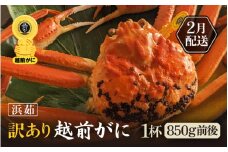 【訳あり】≪浜茹で≫越前がに 1杯（生で1杯850g前後）大人約2人前 食べ応え充分【規格外 雄 ズワイガニ かに カニ 蟹 越前ガニ 姿 ボイル 冷蔵 福井県】【2月発送分】希望日指定可 備考欄に希望日をご記入ください [e65-x002_02]