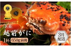 ≪浜茹で≫越前がに 1杯（生で1杯700g前後）大人約2人前 食べ応え充分【 雄 ズワイガニ かに カニ 蟹 越前ガニ 姿 ボイル 冷蔵 福井県】【3月発送分】希望日指定可 備考欄に希望日をご記入ください [e65-x003_03]