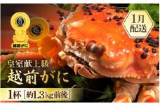≪浜茹で≫越前がに 超特 皇室献上級 1杯（約1.3kg前後）大人約2人前 食べ応え充分【雄 ズワイガニ かに カニ 蟹 越前ガニ 姿 ボイル 冷蔵 福井県】【1月発送分】希望日指定可 備考欄に希望日をご記入ください [e65-x005_01]
