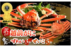 越前がに本場の越前町からお届け！【訳あり】≪浜茹で≫越前がに 食べ比べ ずわい蟹 × 3杯 せいこかに × 5杯 満足セット 食べ方しおり付 ※受付締切11月17日！！【規格外 雄 ズワイガニ かに カニ 蟹 越前ガニ 姿 ボイル 冷蔵 福井県】希望日指定可 備考欄に希望日をご記入ください [e14-x020_11]