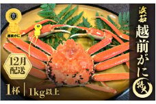 ≪浜茹で≫越前がに 特大サイズ 1杯（生で1kg以上）【雄 ズワイガニ かに カニ 蟹 越前ガニ 姿 ボイル 冷蔵 福井県】【12月発送分】希望日指定可 備考欄に希望日をご記入ください [e68-x002_12]