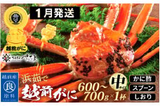 越前がに本場の越前町からお届け！浜茹で 越前がに 中サイズ（生で600～700g） × 1杯 かに酢 食べ方しおり スプーン付き【かに カニ 蟹 雄 ズワイガニ ずわいがに 姿 ボイル 福井県 冷蔵】【1月発送分】希望日指定可 備考欄に希望日をご記入ください [e04-x029_01]