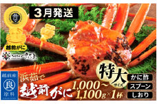 越前がに本場の越前町からお届け！浜茹で 越前がに 特大サイズ（生で1000～1100g） × 1杯 かに酢 食べ方しおり スプーン付き【かに カニ 蟹 雄 ズワイガニ ずわいがに 姿 ボイル 福井県 冷蔵】【3月発送分】希望日指定可 備考欄に希望日をご記入ください [e04-x031_03]