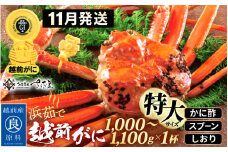 越前がに本場の越前町からお届け！浜茹で 越前がに 特大サイズ（生で1000～1100g） × 1杯 かに酢 食べ方しおり スプーン付き【かに カニ 蟹 雄 ズワイガニ ずわいがに 姿 ボイル 福井県 冷蔵】【11月発送分】希望日指定可 備考欄に希望日をご記入ください [e04-x031_11]