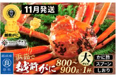 越前がに本場の越前町からお届け！浜茹で 越前がに 大サイズ（生で800～900g） × 1杯 かに酢 食べ方しおり スプーン付き【かに カニ 蟹 雄 ズワイガニ ずわいがに 姿 ボイル 福井県 冷蔵】【11月発送分】希望日指定可 備考欄に希望日をご記入ください [e04-x030_11]