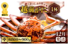 越前がに本場の越前町からお届け！ ≪浜茹で≫越前がに 中サイズ × 1杯（生で約800g～900g）食べ応え十分 食べ方しおり付き【かに カニ 蟹】【福井県 越前町 雄 ズワイガニ ボイル 冷蔵 越前ガニ 越前かに 越前カニ ずわいがに ずわい蟹 かに カニ 蟹】【12月発送分】希望日指定可 備考欄に希望日をご記入ください [e57-x003_12]