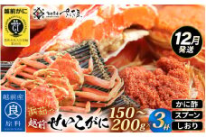 ≪浜茹で≫ 越前 せいこがに 150～200g × 3杯【雌 ズワイガニ】【カニ かに 蟹 越前ガニ セコガニ カニみそ】かに酢・かにスプーン・食べ方のしおり付 【12月発送分】希望日指定可 備考欄に希望日をご記入ください [e04-x035_12]