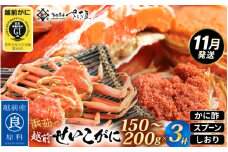 ≪浜茹で≫ 越前 せいこがに 150～200g × 3杯【雌 ズワイガニ】【カニ かに 蟹 越前ガニ セコガニ カニみそ】かに酢・かにスプーン・食べ方のしおり付 【11月発送分】希望日指定可 備考欄に希望日をご記入ください [e04-x035_11]