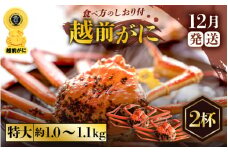 越前がに本場の越前町からお届け！ ≪浜茹で≫越前がに 特大サイズ × 2杯（生で1杯約1.0～1.1kg）食べ応え十分 食べ方しおり付き【かに カニ 蟹】【福井県 越前町 雄 ズワイガニ ボイル 冷蔵 越前ガニ 越前かに 越前カニ ずわいがに ずわい蟹 かに カニ 蟹】【12月発送分】希望日指定可 備考欄に希望日をご記入ください [e57-x006_12]